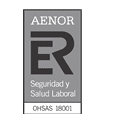 logo aenor