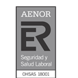 logo aenor